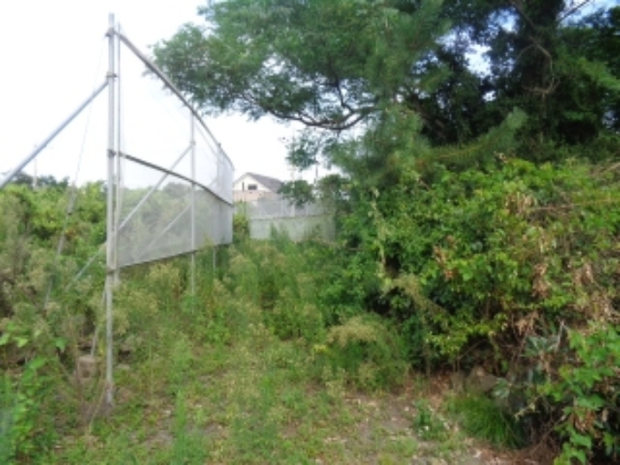 본건 소재지(청수리 748-1) 전경 사진