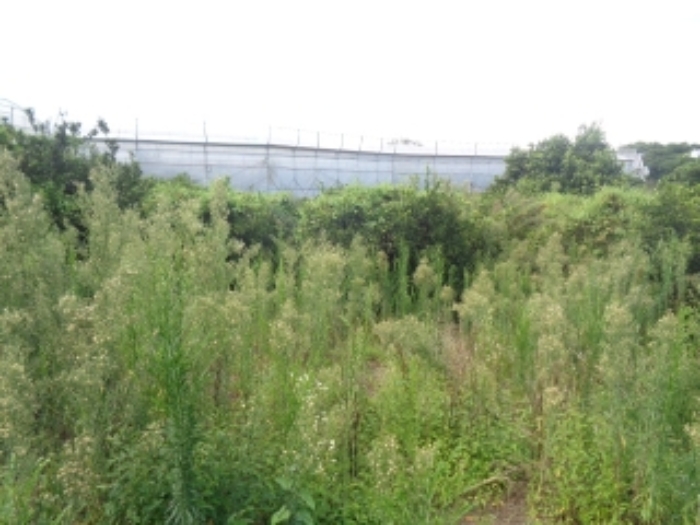 본건 소재지(청수리 748-1) 전경 사진