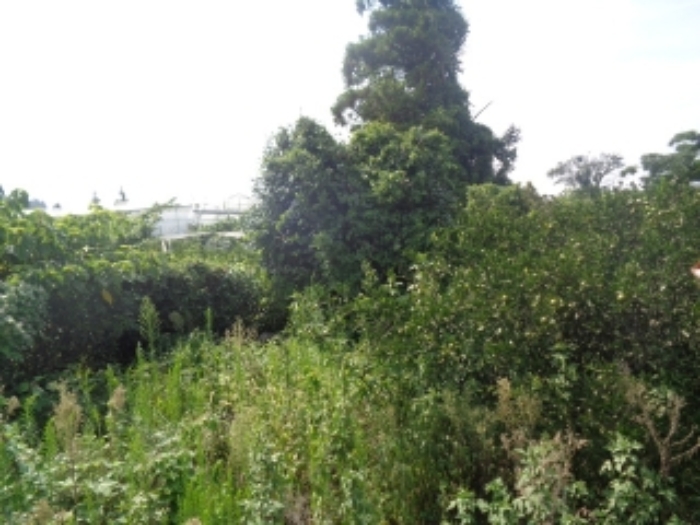 본건 소재지(청수리 748-1) 전경 사진