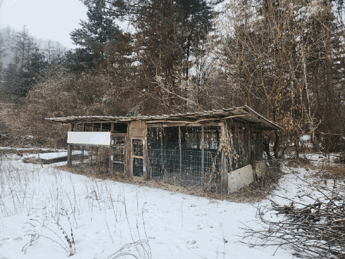 제시외 건물 ㄴ 전경