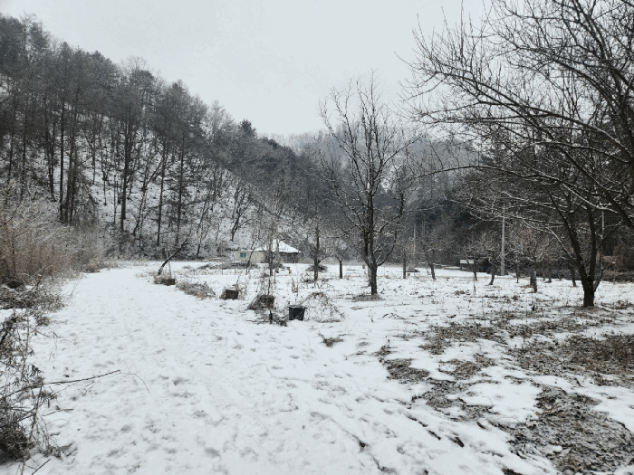 일련번호 1,2 전경