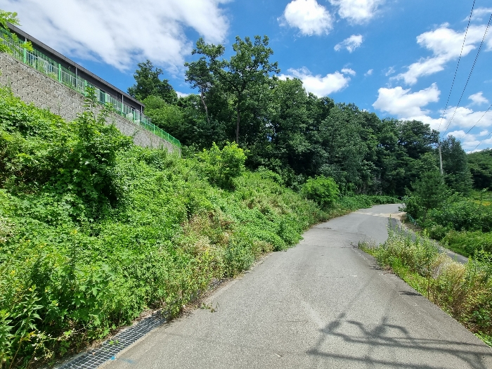 대상 토지(7) 전경