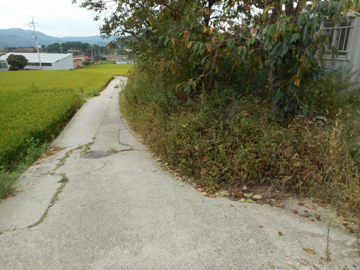 본건 기호(1)의 현황 