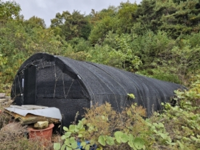 기호4번 차광막