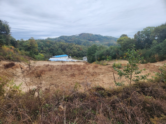 본건 기호(3) (9)