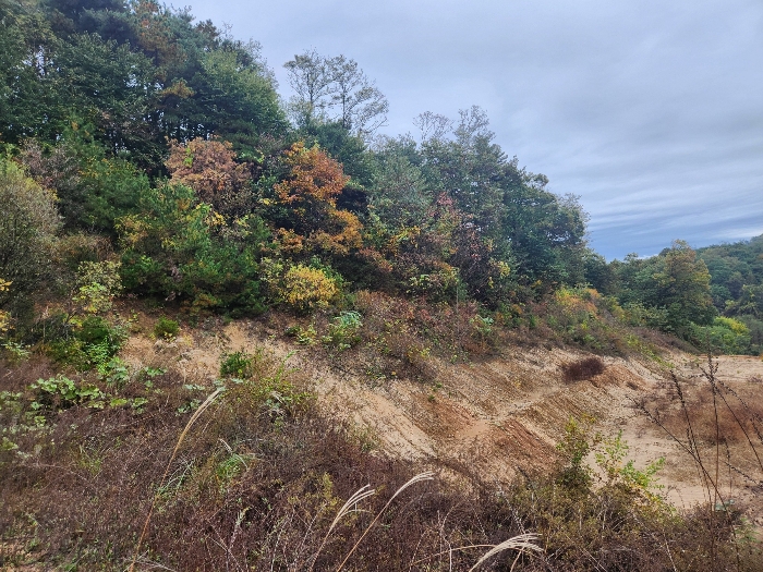 본건 기호(4) (6)