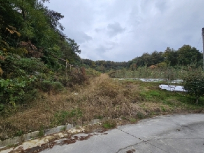 기호4 10번 전경