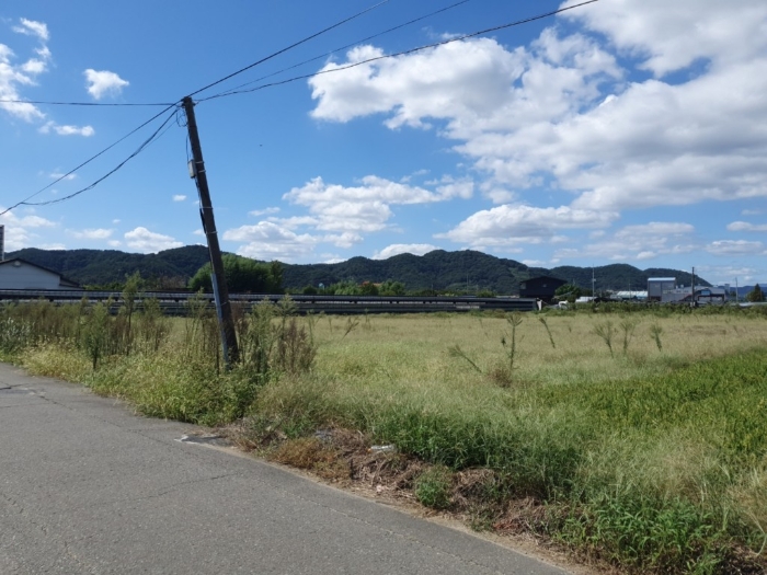 본건 토지 전경