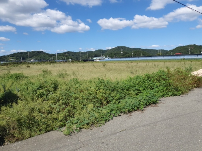 본건 토지 전경