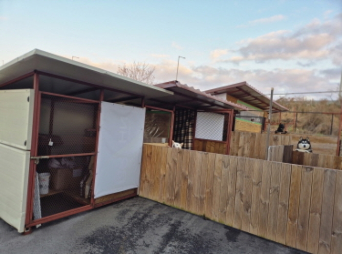 목록1. 대지 전경(개사육장)(6)