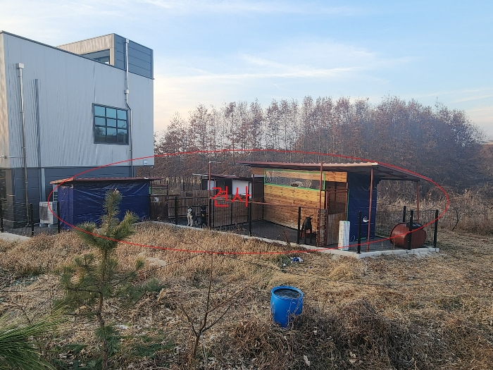 견사 - 감정평가 제외