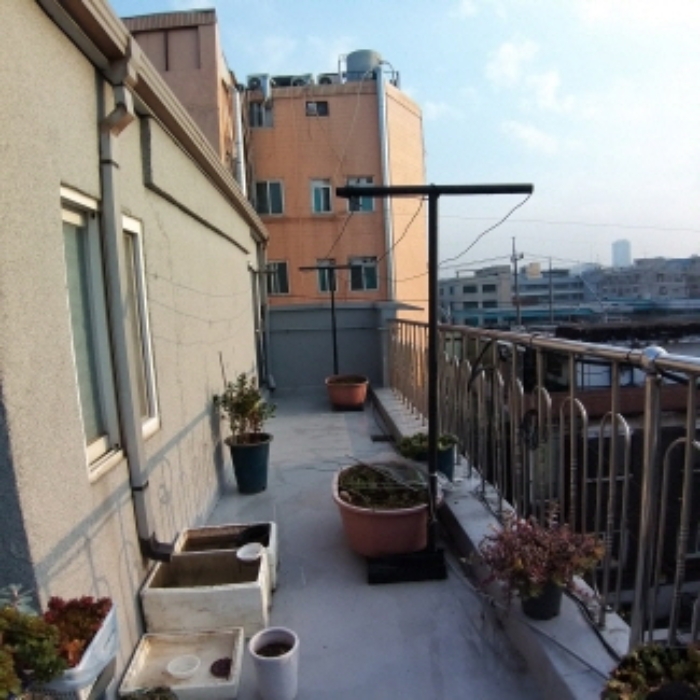 옥상 위의 모습