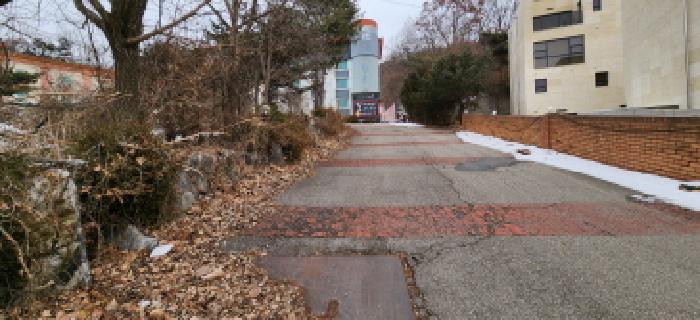 목록3 및 목록5 토지 전경3