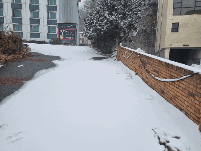 본건 기호(4) 전경
