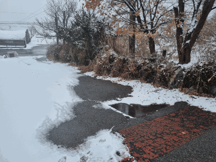 본건 기호(3) 전경
