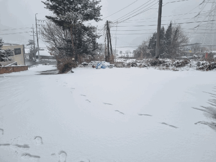 본건 기호(1) 전경
