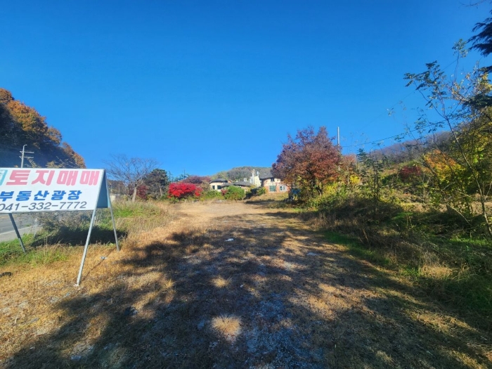 본건 주위 환경