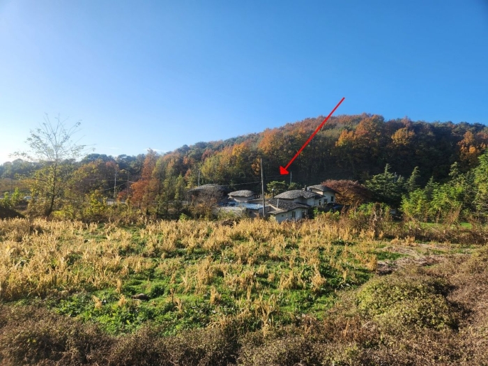 본건 주위 환경