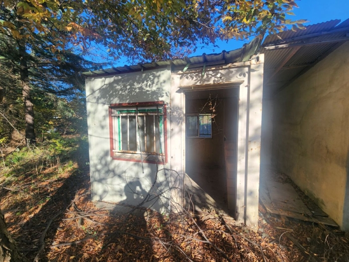 제시외 건물 ㄷ)