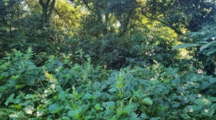 소재지5(가시리