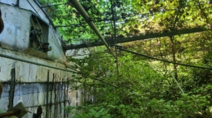 소재지4(가시리