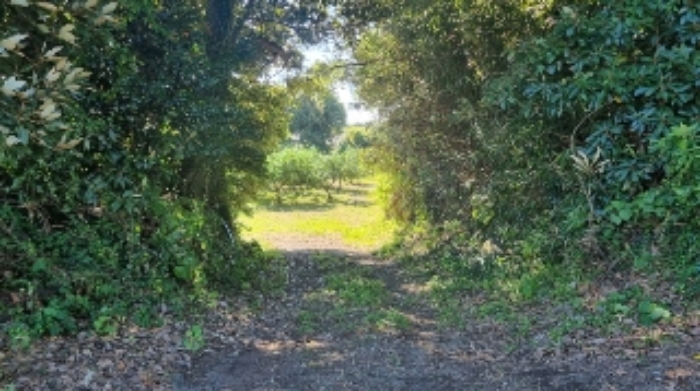 소재지2(가시리