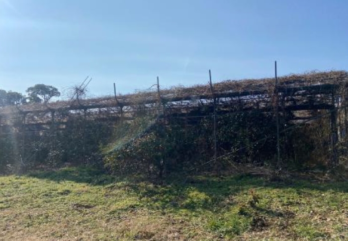 제시외건물(ㄷ)