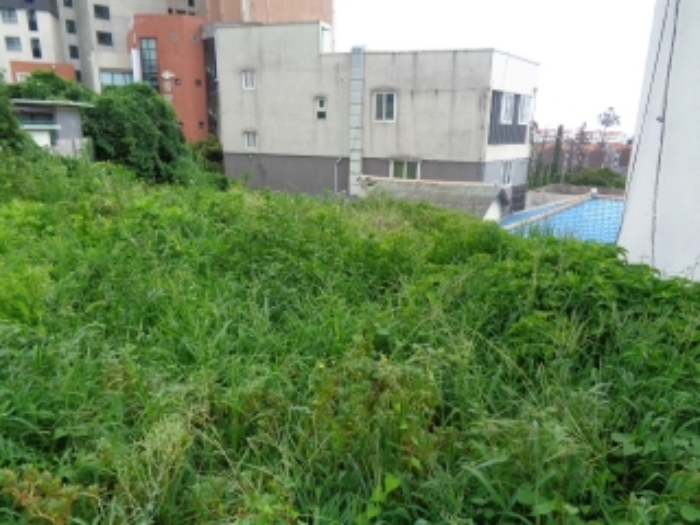 본건 소재지1(중문동 2056-6) 전경 사진