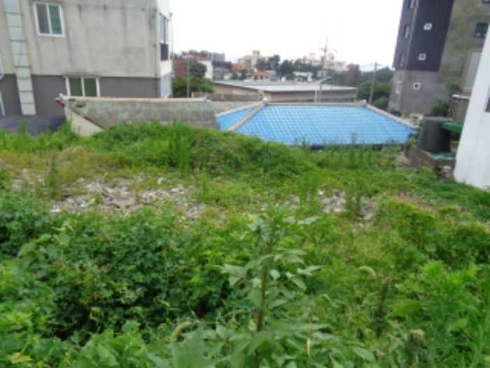 본건 소재지1(중문동 2056-6) 전경 사진