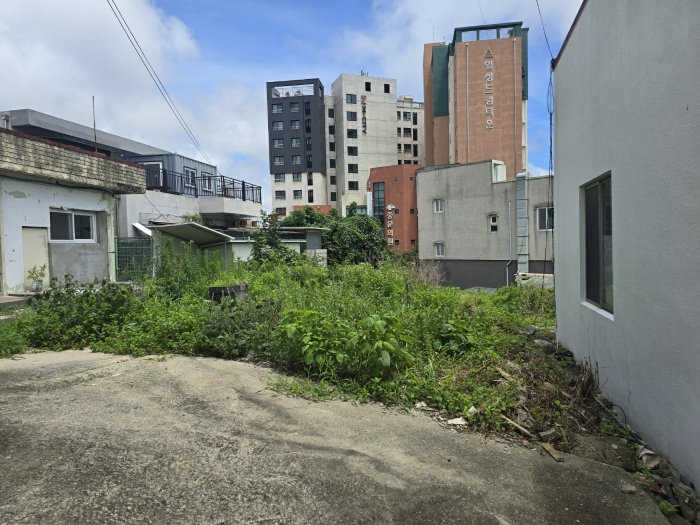 일련번호(1) 전경