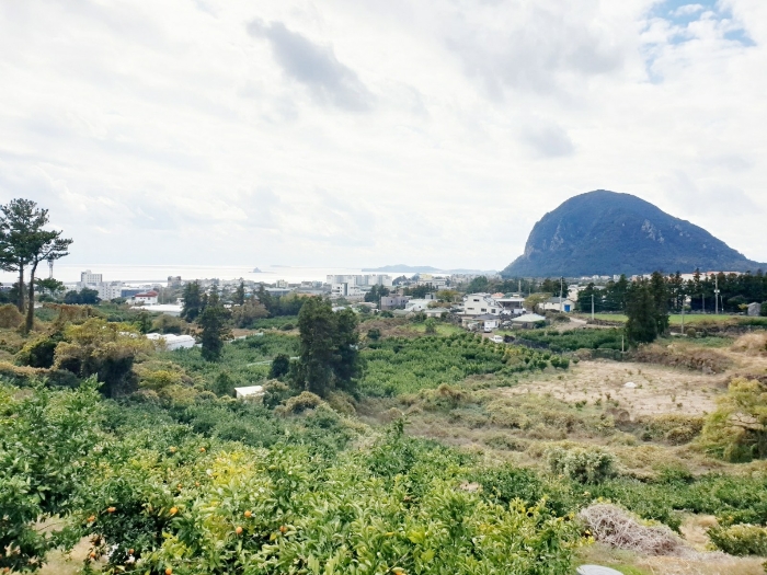 주위환경 - 기호(2) 북측에서 바라본 남측 전경