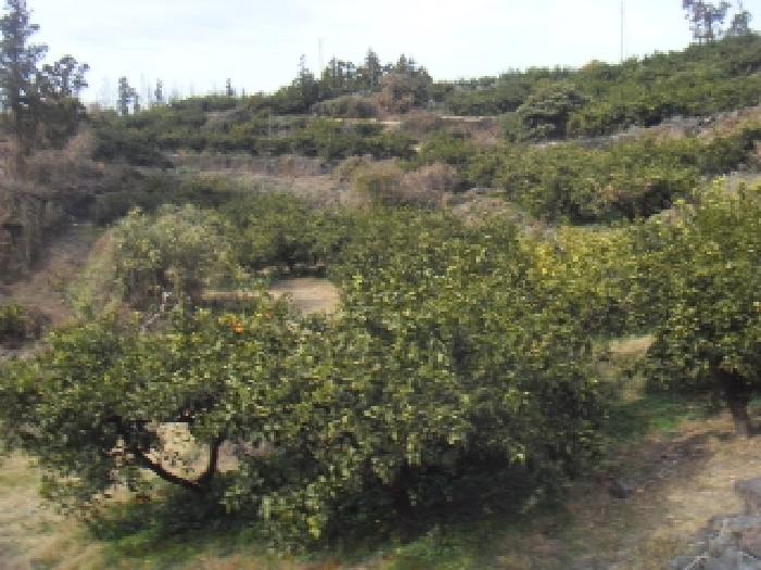 소재지2(화순리 1695-3) 전경 사진