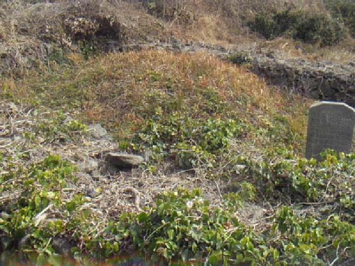 소재지2(화순리 1695-3) 지상 제시외 분묘 사진