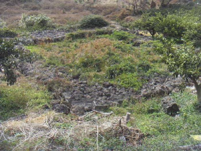 소재지2(화순리 1695-3) 지상 제시외 분묘 사진