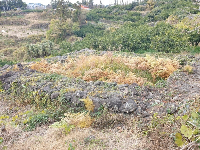 본건 기호(2) 지상 분묘 - 남동측 소재
