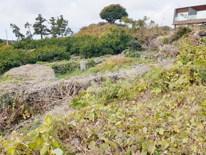 본건 기호(2) 지상 분묘 - 북측 소재
