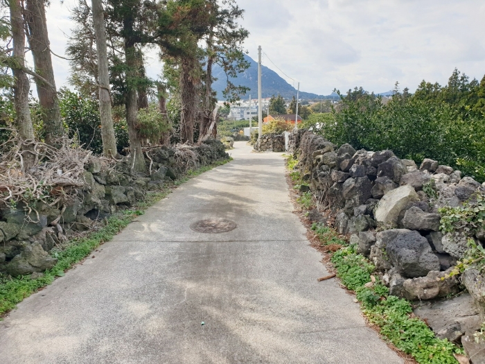 주위환경 - 기호(1), (2) 북서측 접면도로