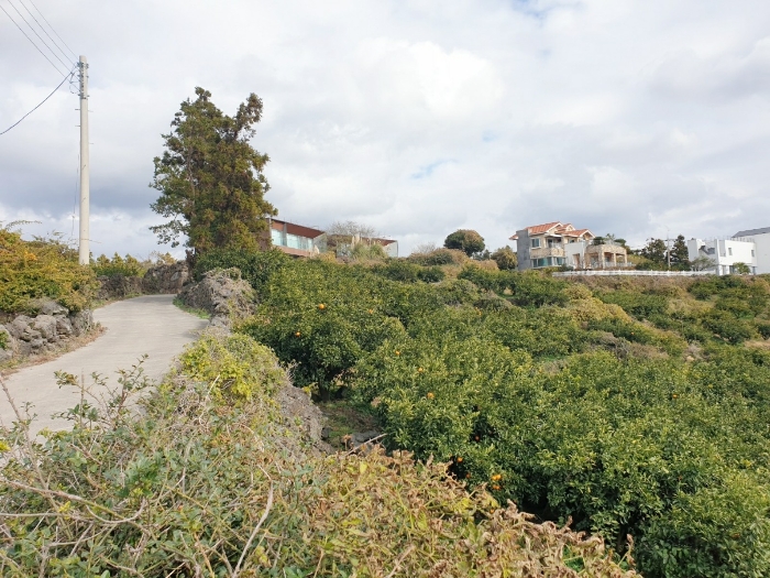 본건 기호(1), (2)