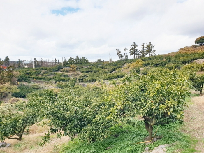 본건 기호(2) - 동측에서 바라본 전경