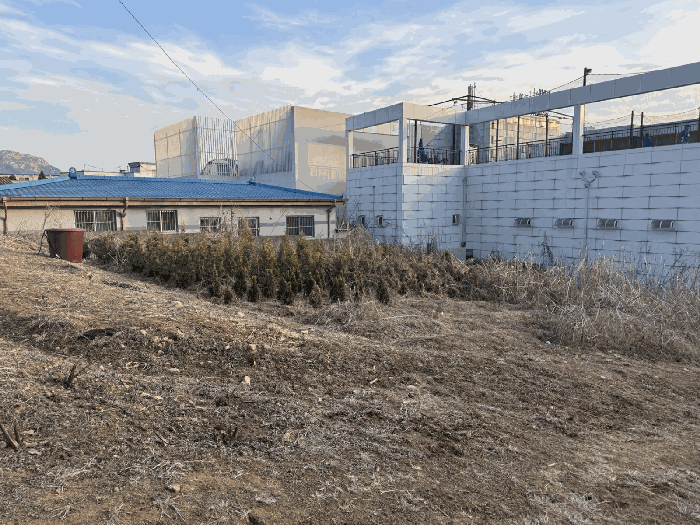 본건 일련번호(1) 전경