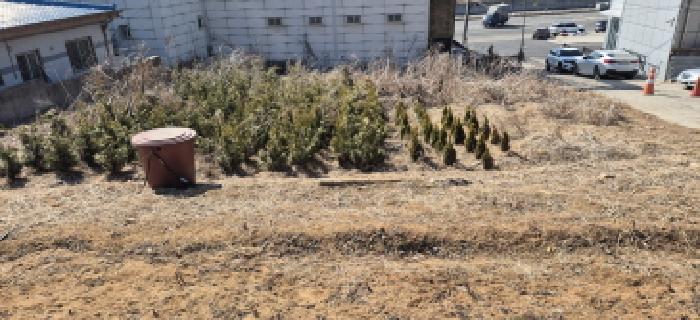 토지 전경도(목록1)