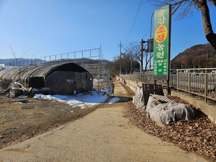 [본건 북측 도로변 주위환경]