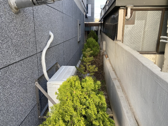 본건 지상의 수목