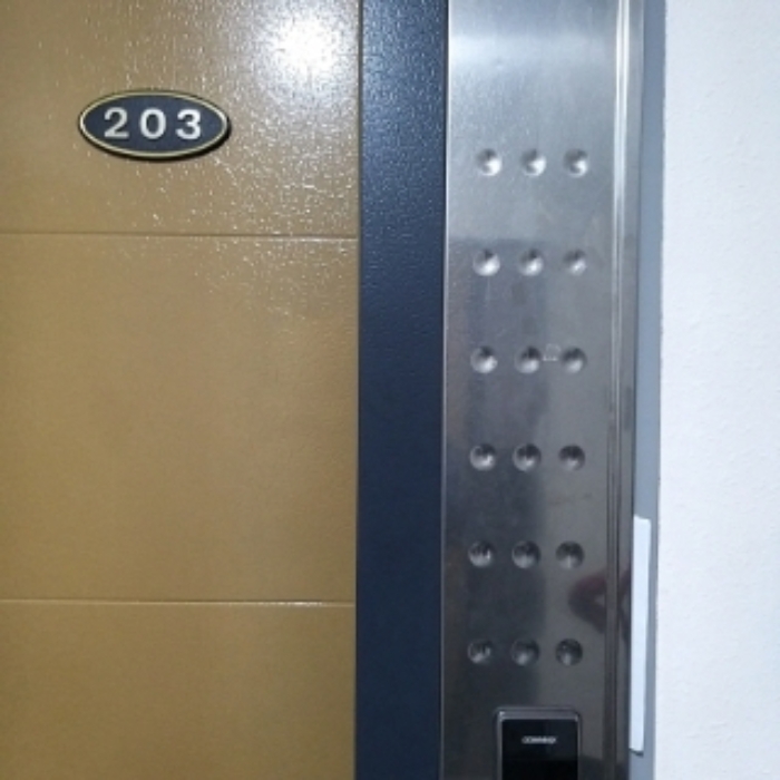 세대 출입문(203호)