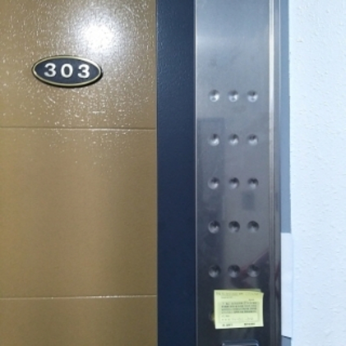 세대 출입문(303호)