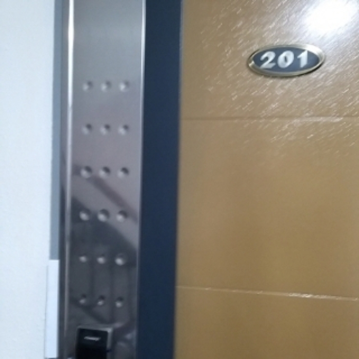 세대 출입문(201호)