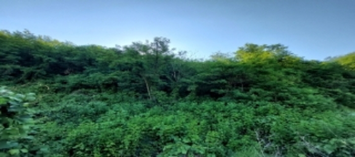 목록2 토지 일부 전경