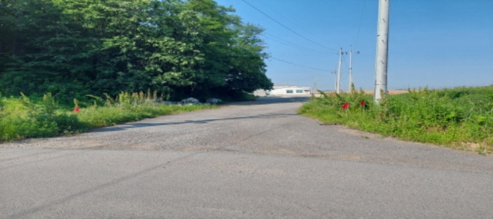 목록1 토지와 인접한 진입로 전경