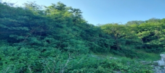 목록2 토지 일부 전경