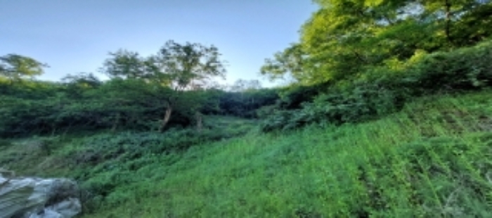 목록2 토지 일부 전경